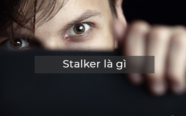 Stalker là gì